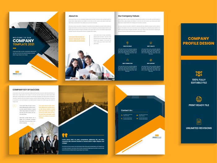 Brochure dribbble copiere printare