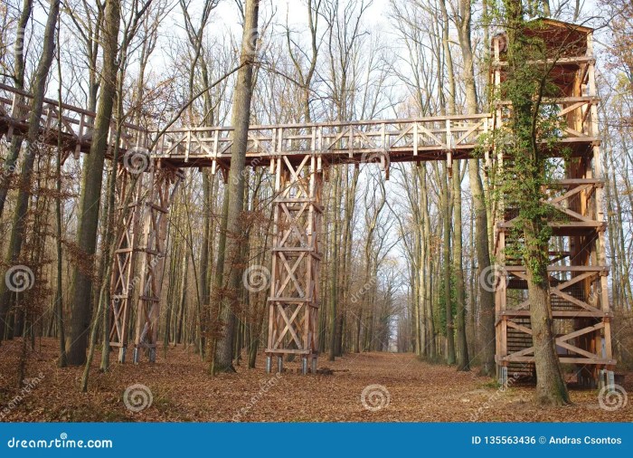 Canopy trail wooden