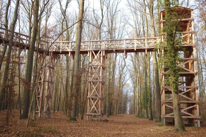 Contoh desain canopy trail